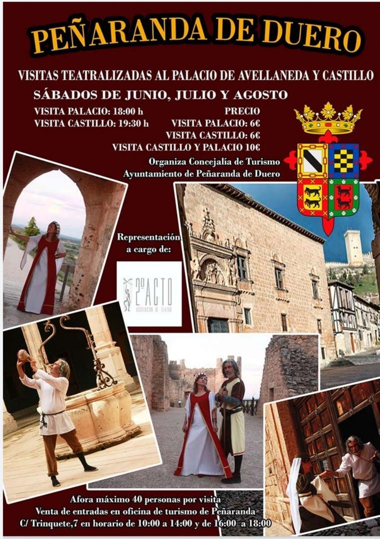 Castillo de Peñaranda de Duero 9