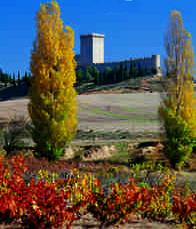 Castillo de Peñaranda de Duero 1