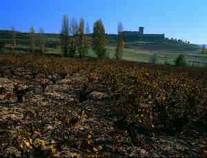Castillo de Peñaranda de Duero 2